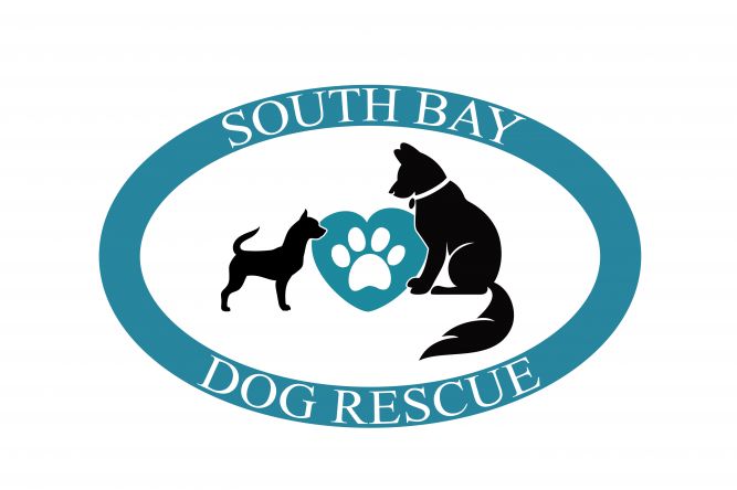 South Bay Dog Rescue