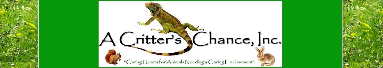 A Critter's Chance