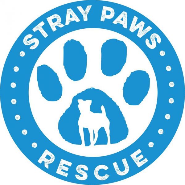 Stray Paws Rescue