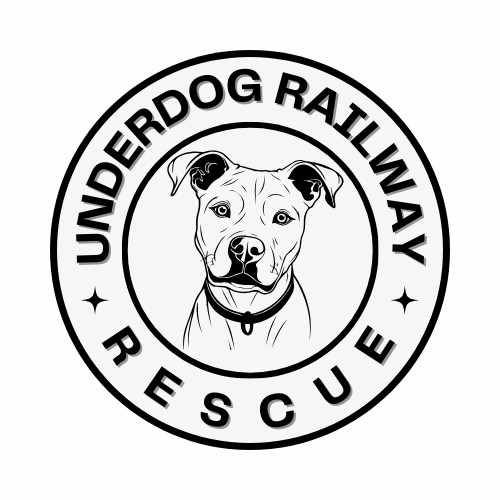 Underdog rescue best sale