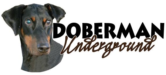 Doberman Underground