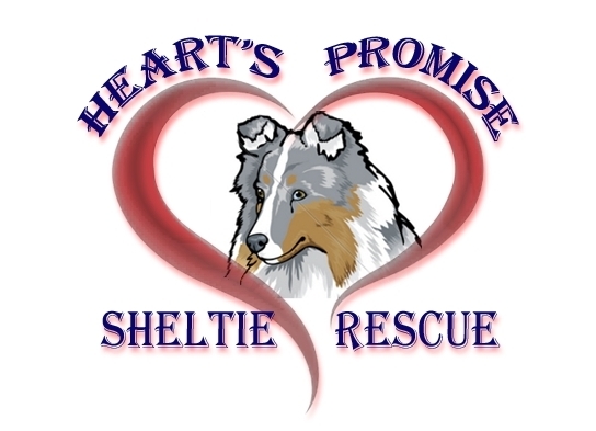 Heart's Promise Sheltie Rescue