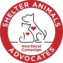Pets for Adoption at Shelter Animals Advocates, in Graniteville, SC ...