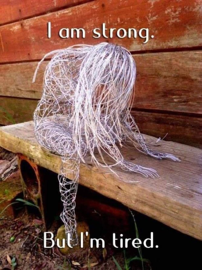 PAWS of Adams County