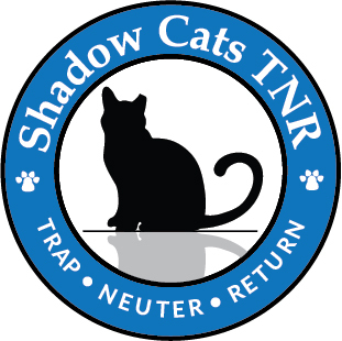 Cat Adoption Harford County Maryland