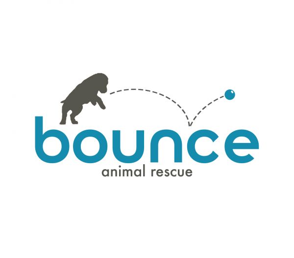 Bounce Animal Rescue