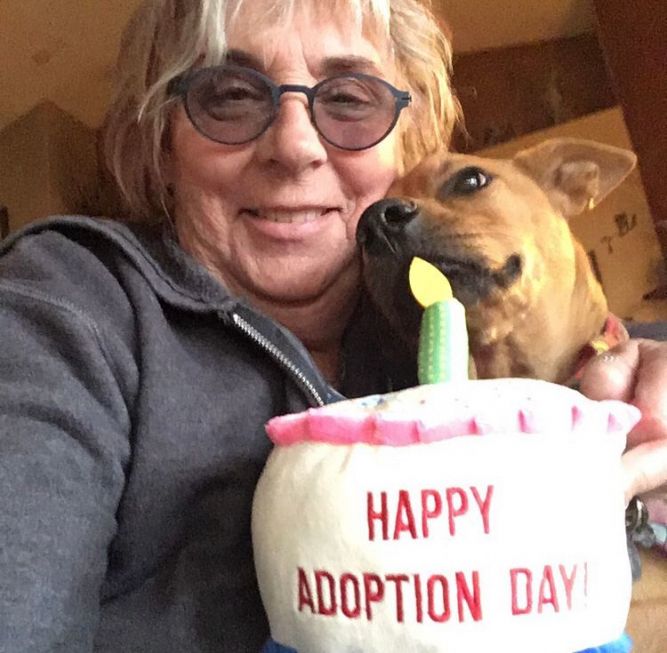 Lifeline Oro Valley Animal Rescue