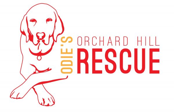 Odies Orchard Hill Rescue