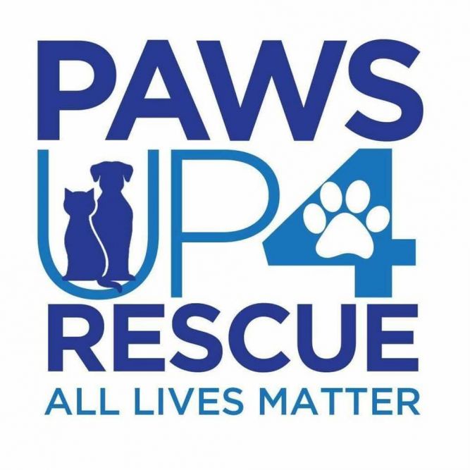 Paws Up 4 Rescue