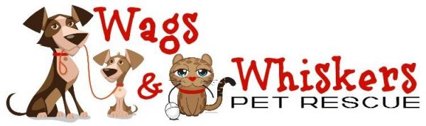 Wags and Whiskers Pet Rescue