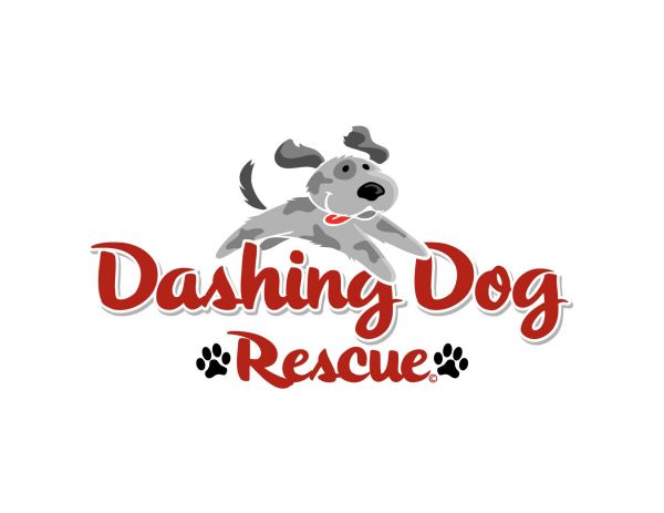 Dashing Dog Rescue