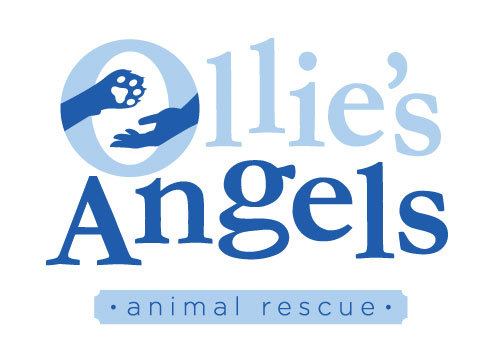 Ollie's Angels Animal Rescue