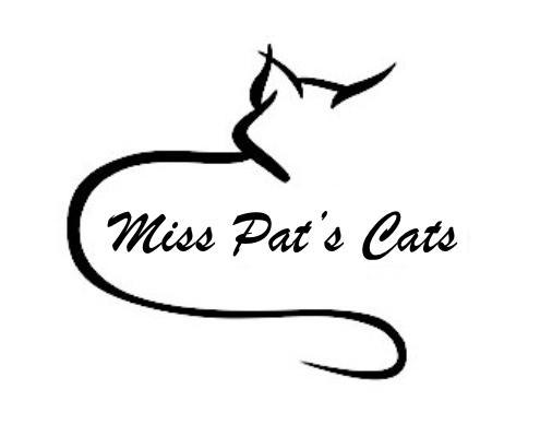 Cats pats. Miss Pat. Pat the Cat. Miss Patricia. Nice Cat Pat.