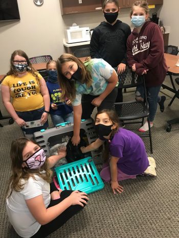 Girl Scout troop education event.