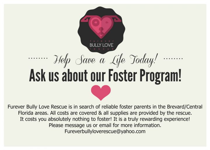 Ask us about our FOSTER PROGRAM!
