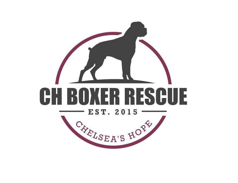 Pets for Adoption at Chelseas Hope Boxer Rescue, in Monticello, NY ...