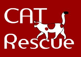 Cat Allies of Texas Rescue