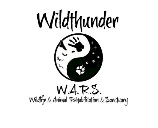 Wildthunder W.A.R.S.