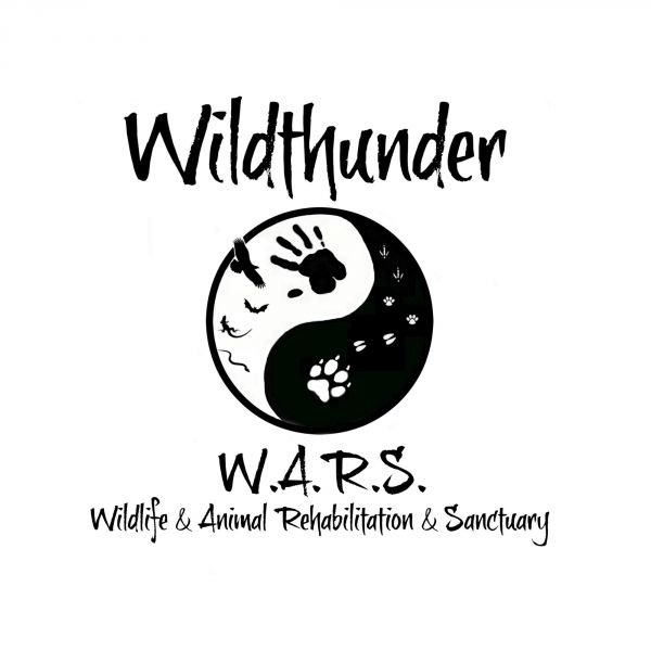 Wildthunder W.A.R.S.