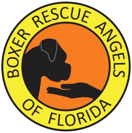 Boxer Rescue Angels of Florida