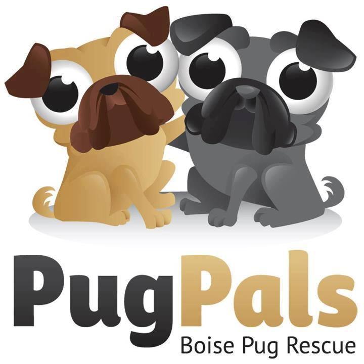 Pug Pals Rescue