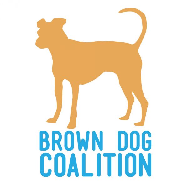 Brown Dog Coalition and Rescue Ltd