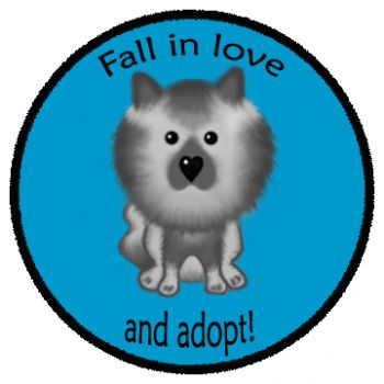 Fall in love, and adopt!