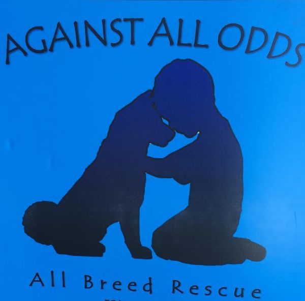 Against All Odds All Breed Rescue