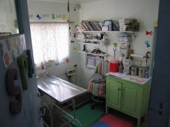 Image 6