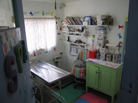 Image 6