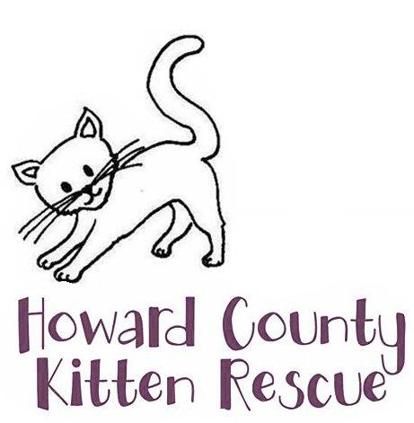 Pets for Adoption at Howard County Kitten Rescue, in Kokomo, IN | Petfinder