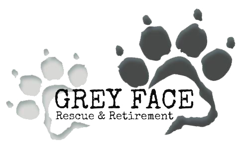 Grey Face Rescue and Retirement