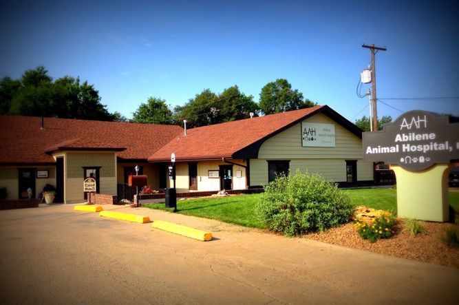 Abilene Animal Hospital