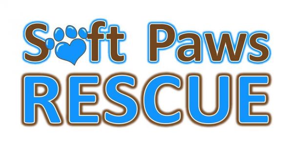 Soft Paws Rescue and Rehab