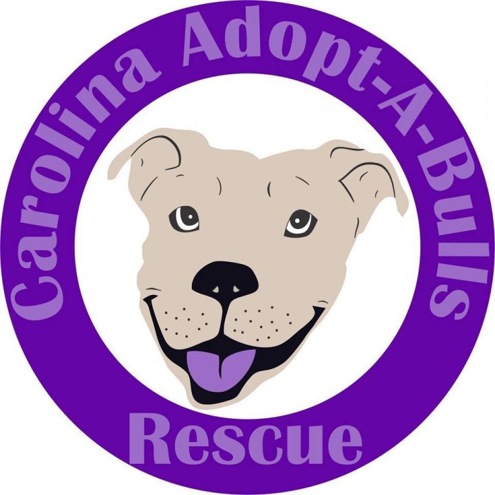 Carolina Adopt A Bulls Rescue