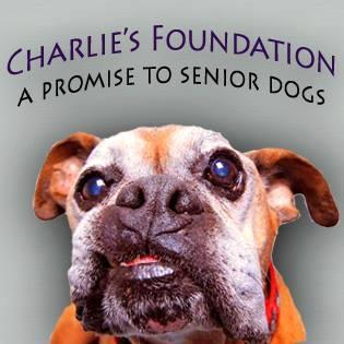 Volunteer-Rescue-Foster-Adopt-Donate