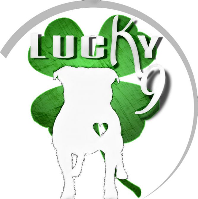 Lucky K9 Rescue - St. Charles, MO
