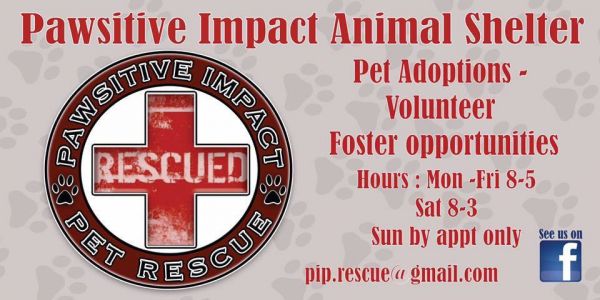 Pawsitive Impact Pet Rescue