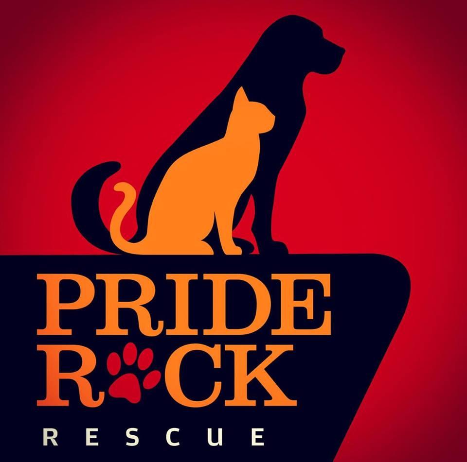 Pride Rock Rescue