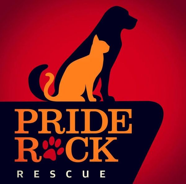 Pride Rock Rescue