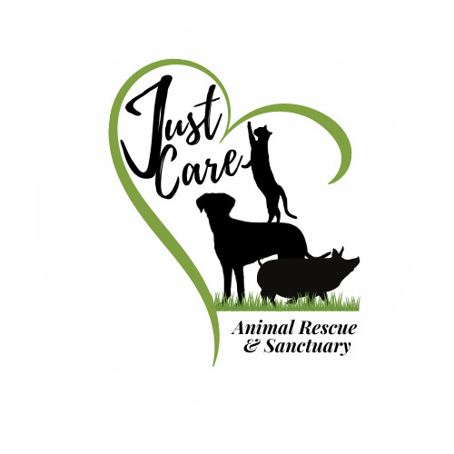 JustCare Animal Rescue