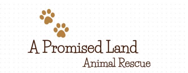 A Promised Land Animal Rescue