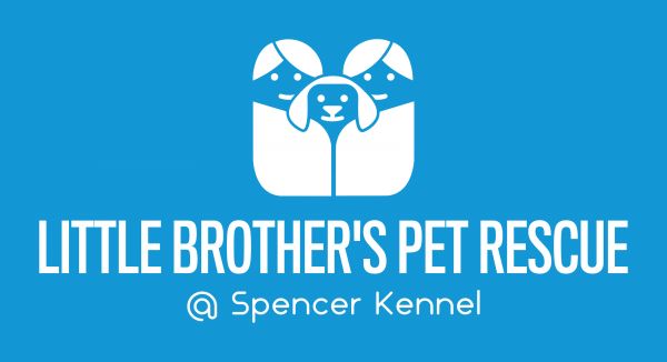Little Brother's Pet Rescue Inc