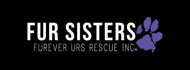 Fur Sisters - Furever Urs Rescue
