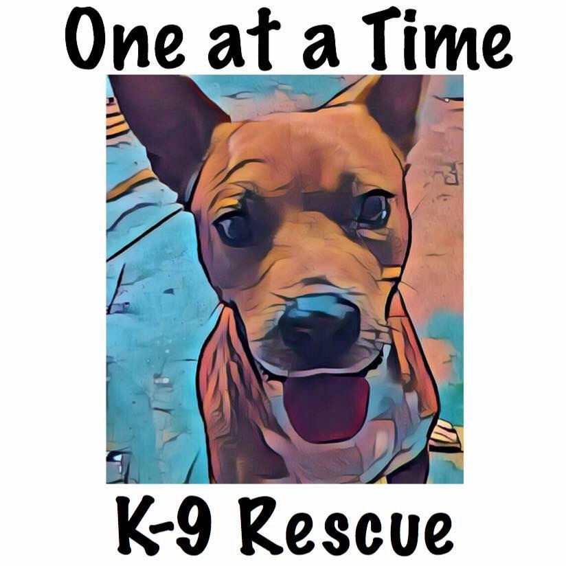 One At A Time K-9 Rescue