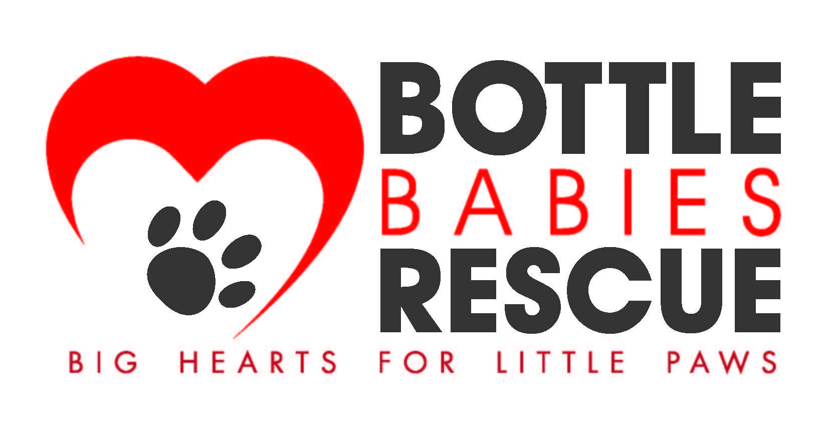 Pets for Adoption at Bottle Babies Rescue, in Allen Park