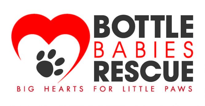 Bottle Babies Rescue