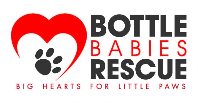 bottle babies rescue reviews