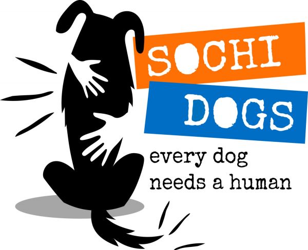 Friends of Sochi Dogs