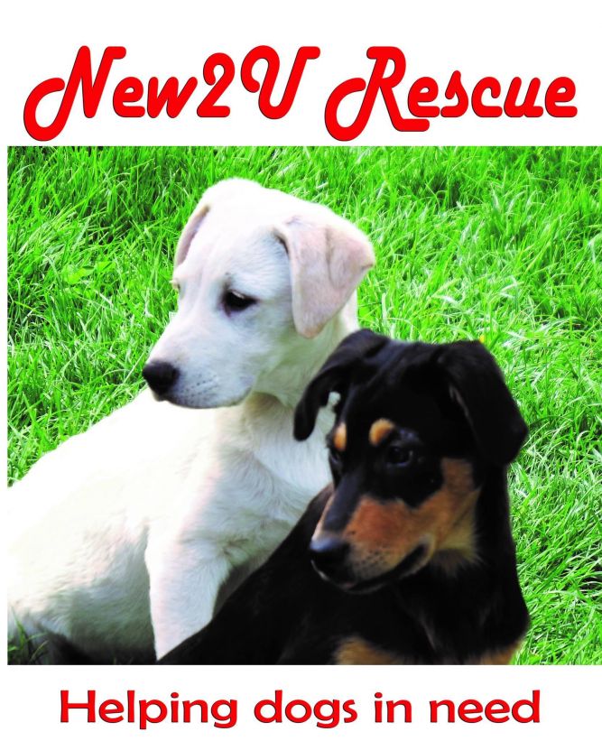 New2U Rescues